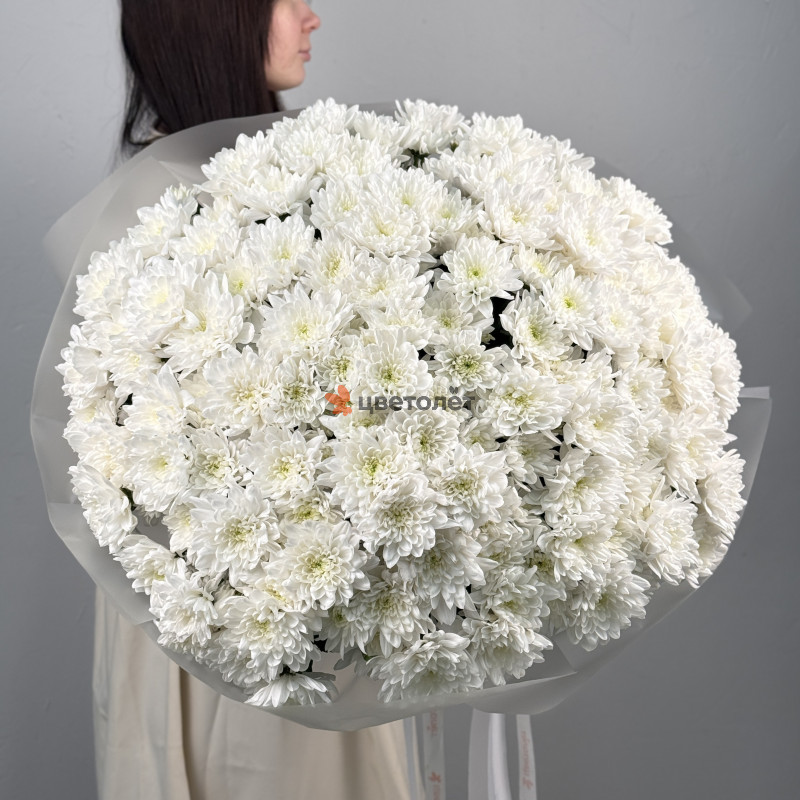 Большое облако из хризантем