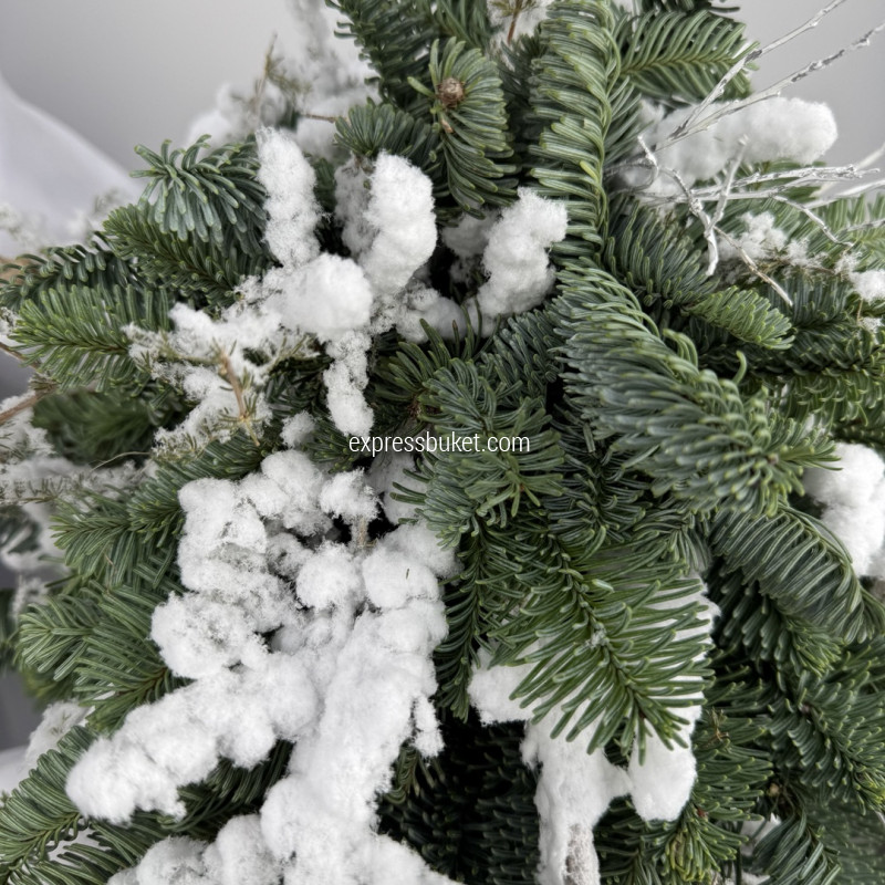 Хрустальный мороз