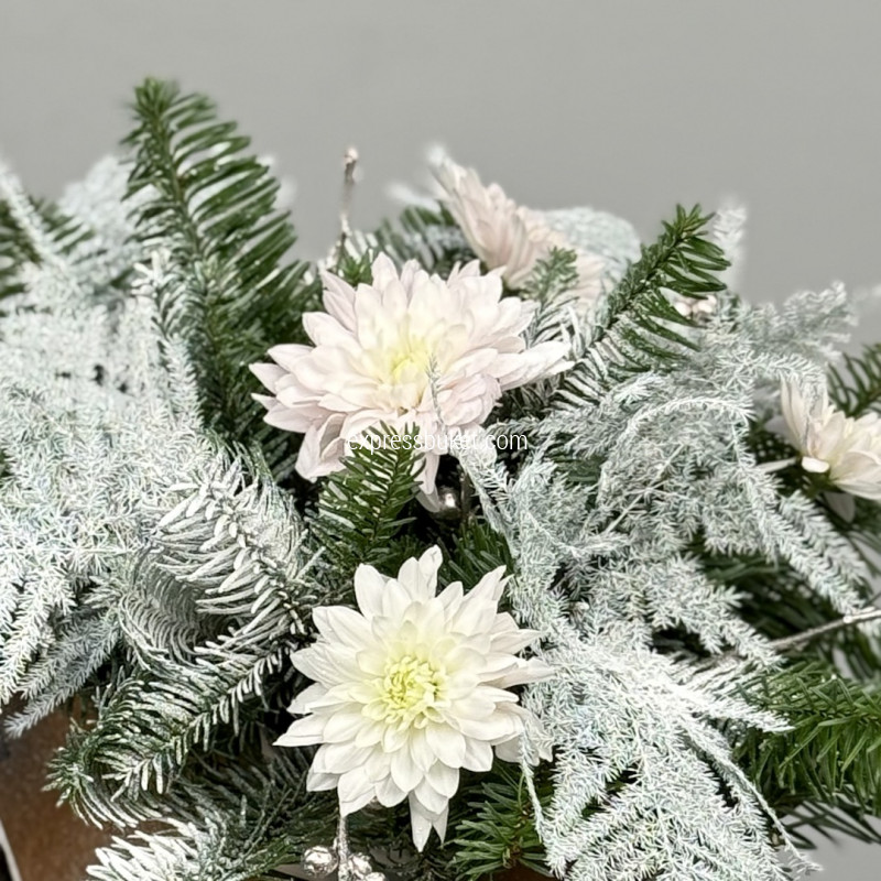 Зимние сани