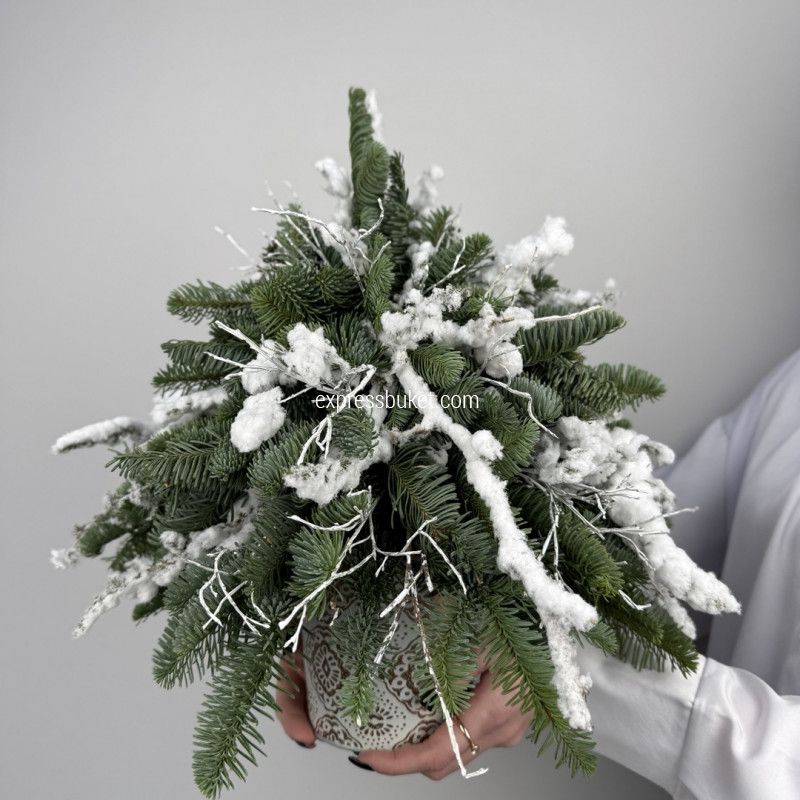 Хрустальный мороз