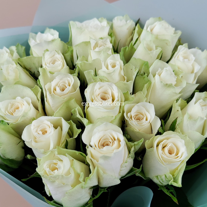 Белые Розы Кения 25 шт